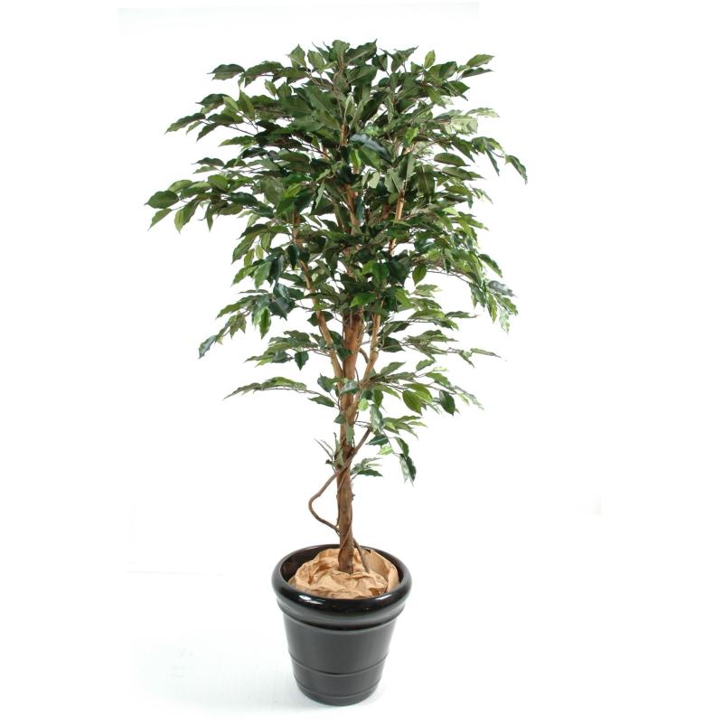 Ficus artificiel tronc simple grandes feuilles