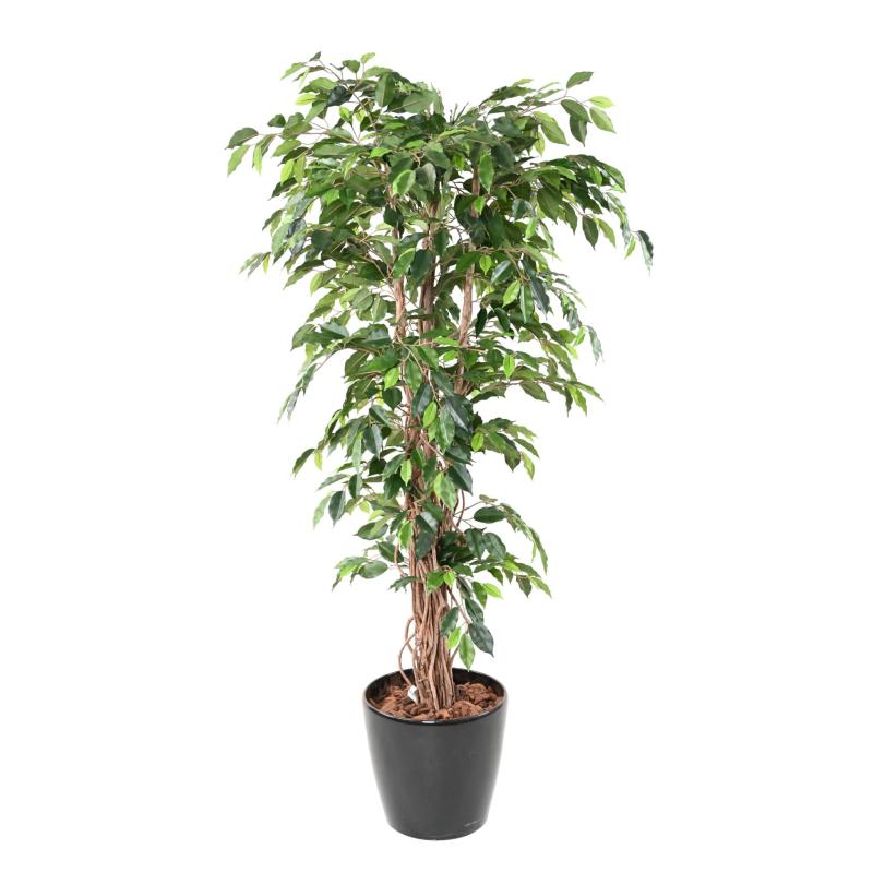 Ficus artificiel Lianes grandes feuilles