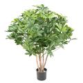 SCHEFFLERA Artificiel BUISSON PLAST UV