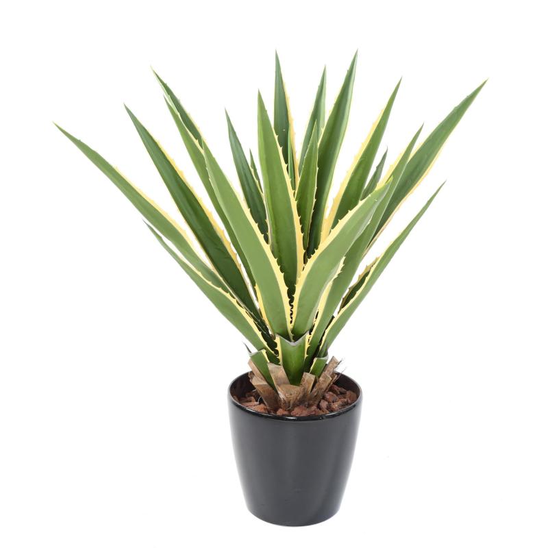 Agave Artificielle Furcraea