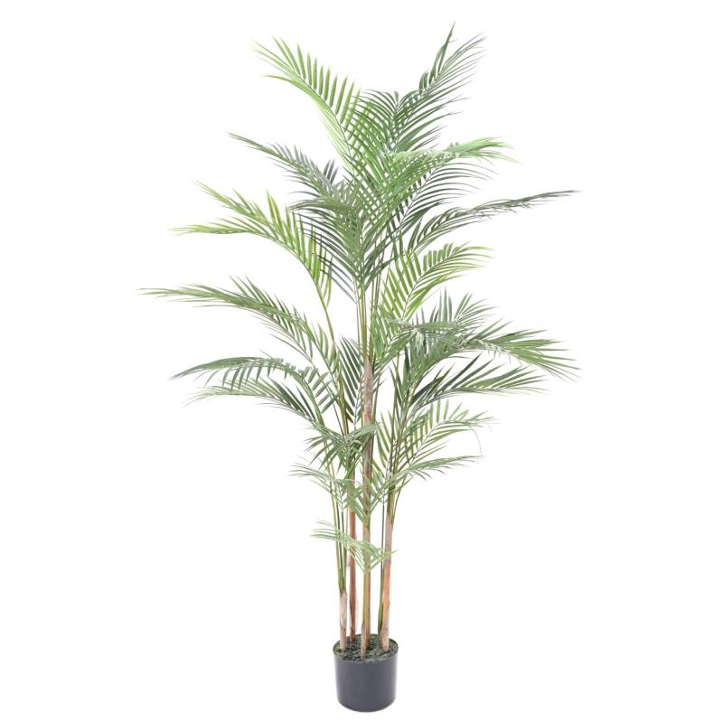 Areca PLAST Artificiel