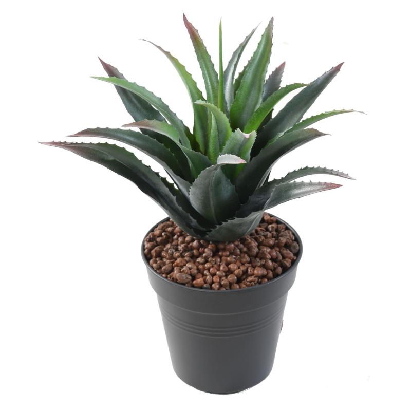 Furcraea Artificiel *21