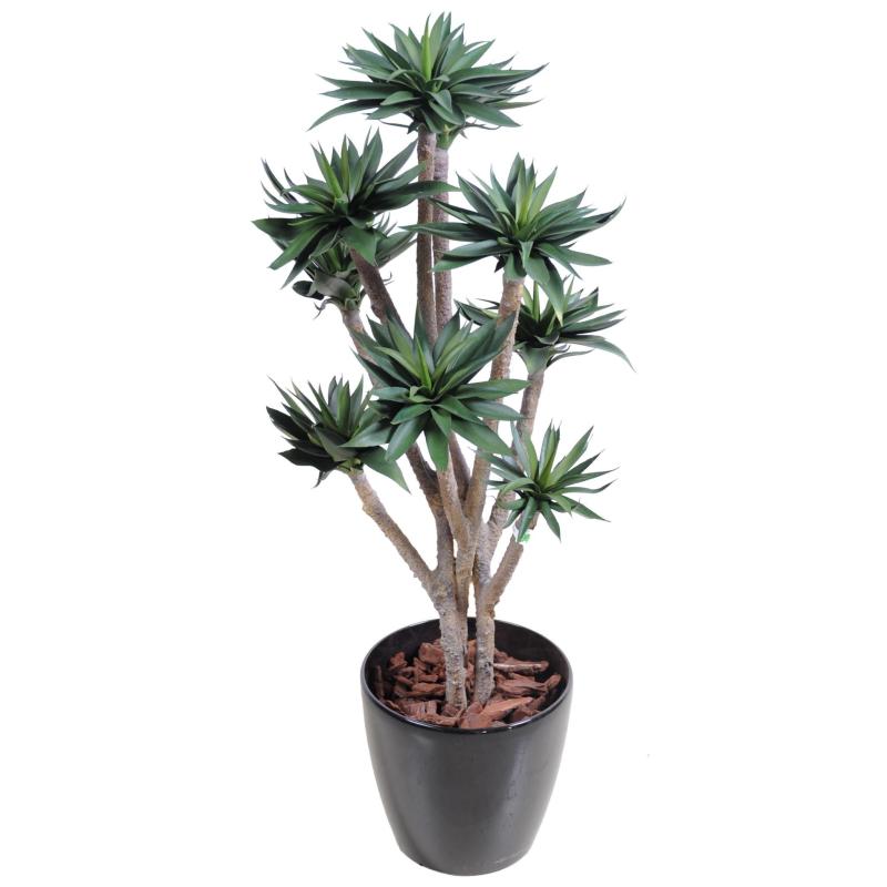 Agave Artificielle *9