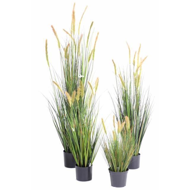 Foxtail Artificiel GF