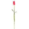 Tulipe artificielle