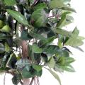 Rubber Plant artificiel Tree S