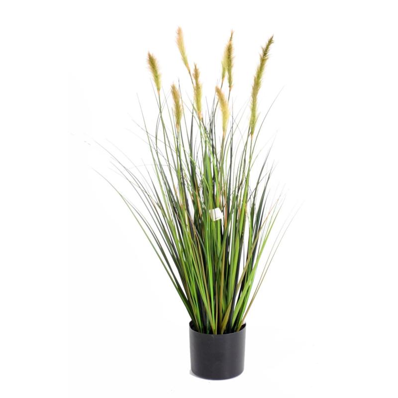 Foxtail Artificiel GF