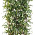 Bambou artificiel New Haie 150 socle 75