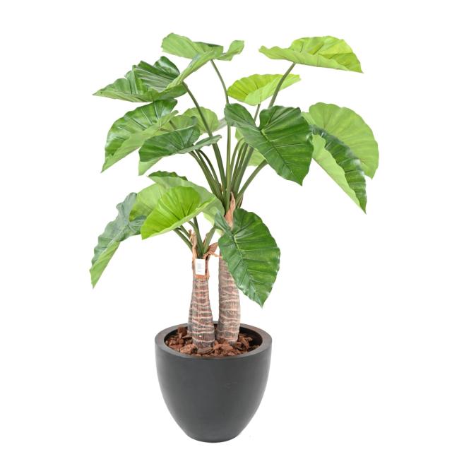 Alocasia Artificiel