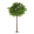 Chene Artificiel Tete Platine