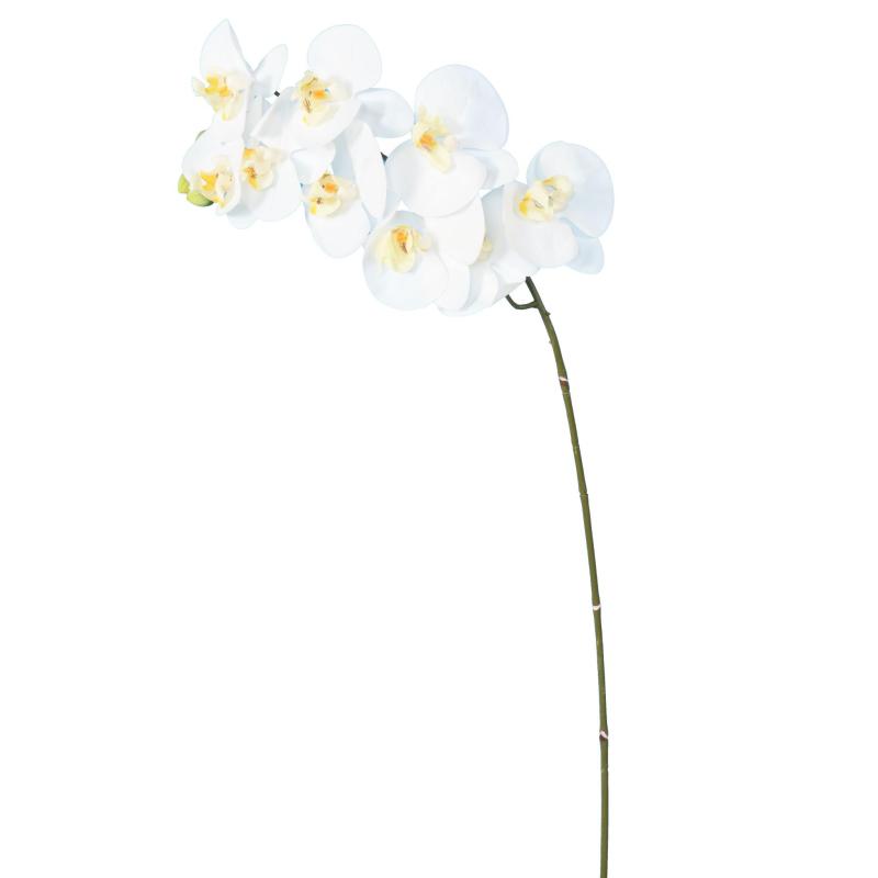 Phalaenopsis Artificielle Tige