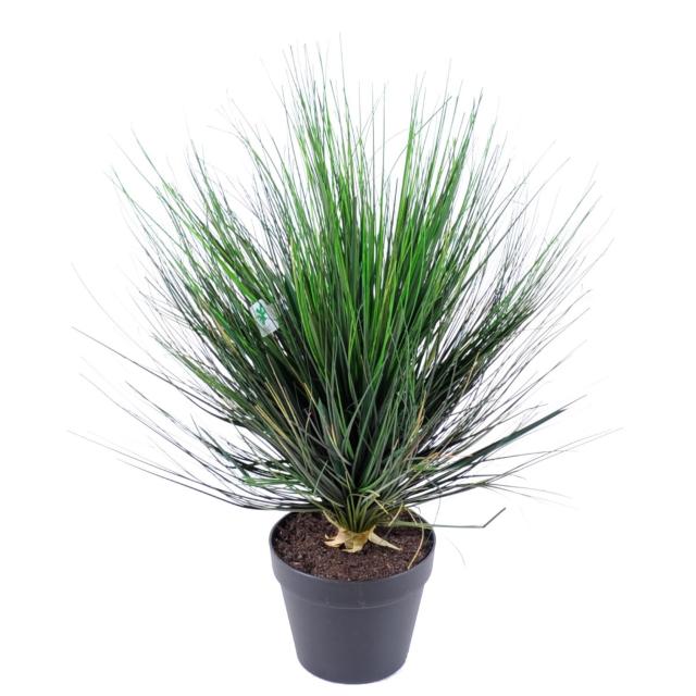 Onion Grass Artificiel Grass en Pot 3 Hauteurs 60 Cm, 70 Cm, 75 cm