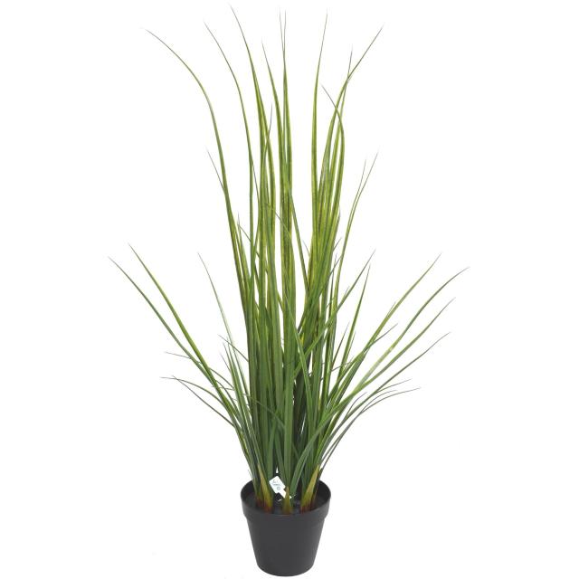 Lemon Grass 120 Artificielle