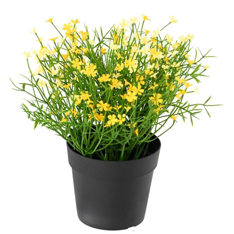 Marguerite Artificielle Mini 20 Pot
