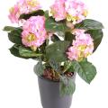 Hortensia artificiel 3*2