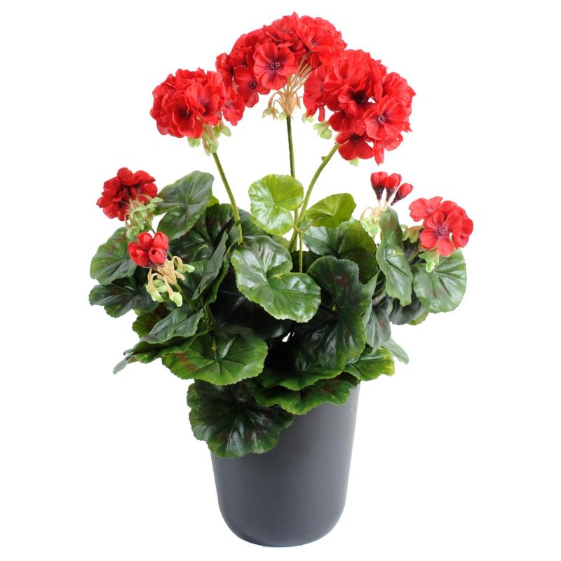 Geranium artificiel 30 cm