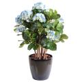 Hortensia Artificielle Buisson