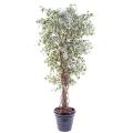 Ficus artificiel lianes petites feuilles