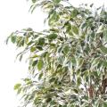 Ficus artificiel lianes petites feuilles
