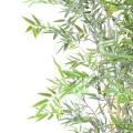 Bambou artificiel Japanese Plast
