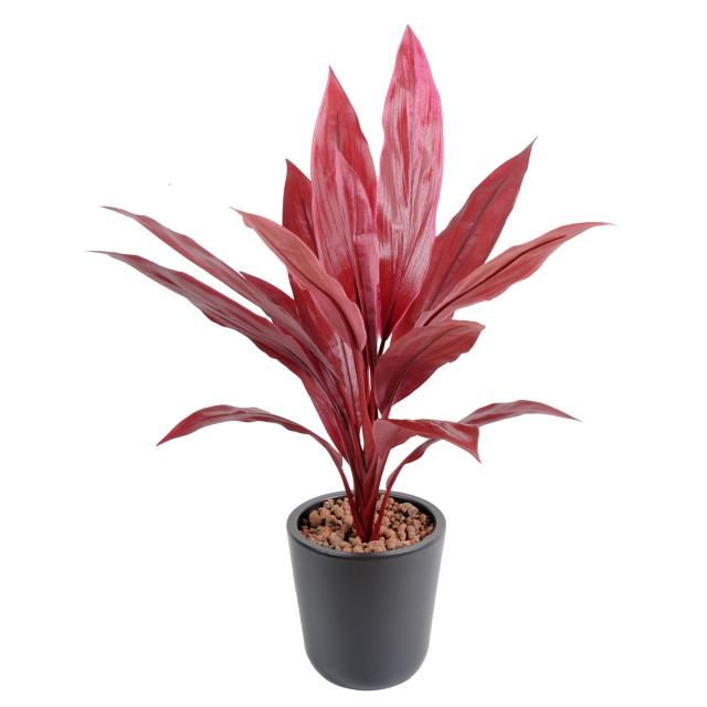 Dracaena Artificiel Cordyline en Piquet 60 cm de Hauteur 3 Coloris