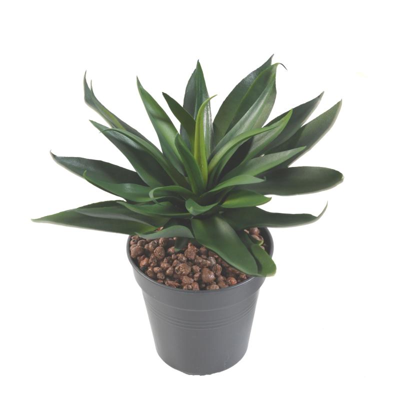 Agave Artificielle 36