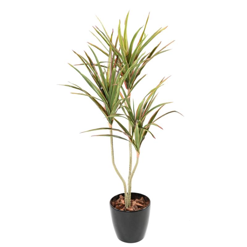 Dracaena Artificiel