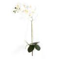 Phalaenopsis Artificielle 9