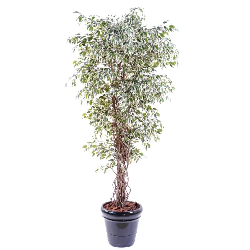 Ficus artificiel lianes petites feuilles