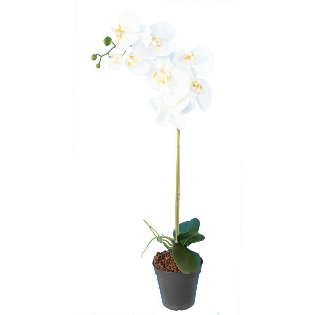 Phalaenopsis Artificielle 9