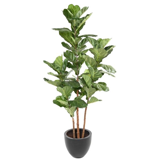 Lyrata Artificiel 3 Tiges 190