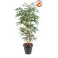 Bambou Artificiel NEW 150 FR - Fire Resistant