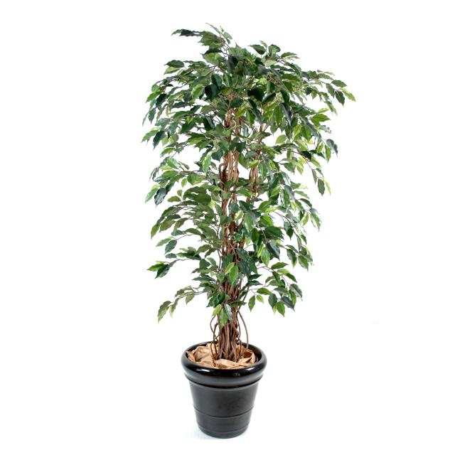 Ficus Artificiel Lianes Grandes Feuilles Vert OU Vert/crème 3 Hauteurs