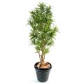 Dracaena Artificiel Reflexa