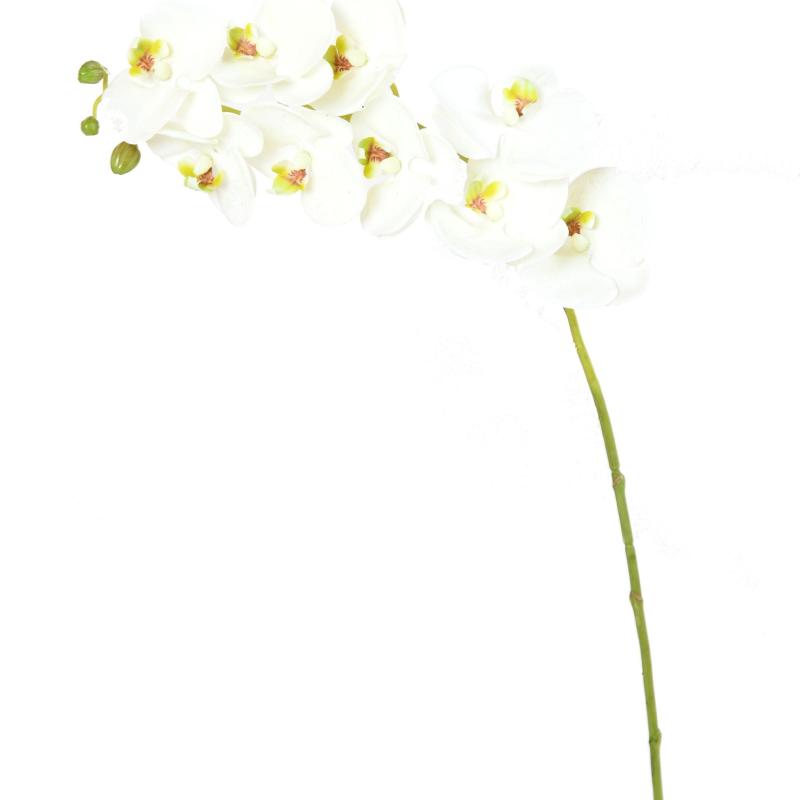 Phalaenopsis Artificielle 77