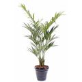 Kentia artificiel Palm