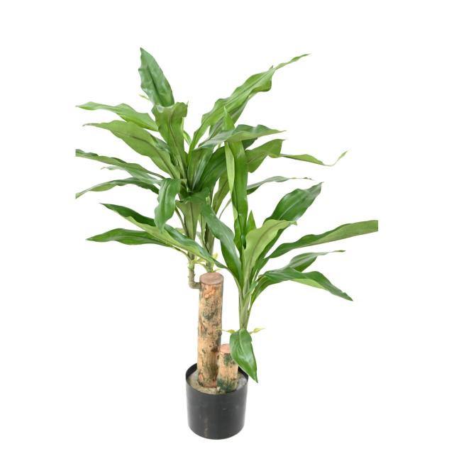 Dracaena Artificiel Fragrans Stud
