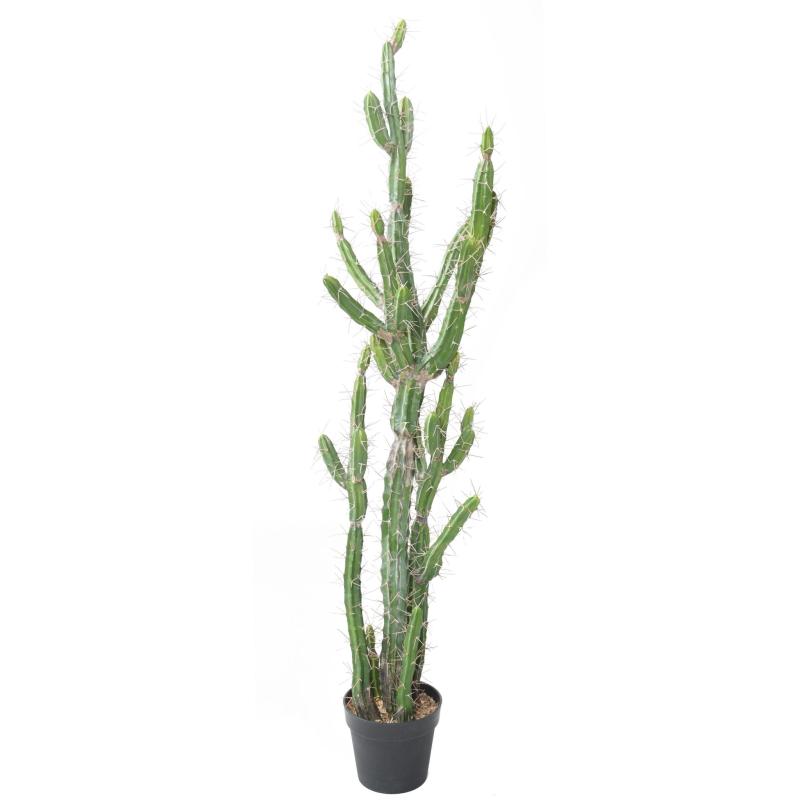 Cactus Artificiel Finger F