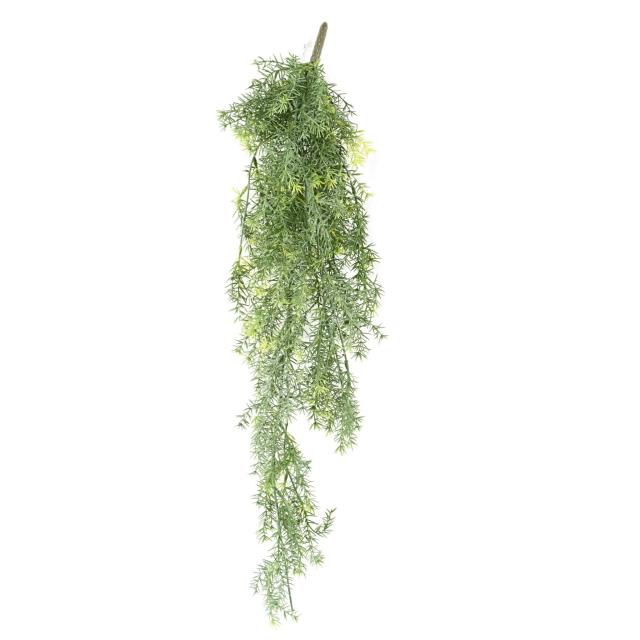 Asparagus Artificiel Chute
