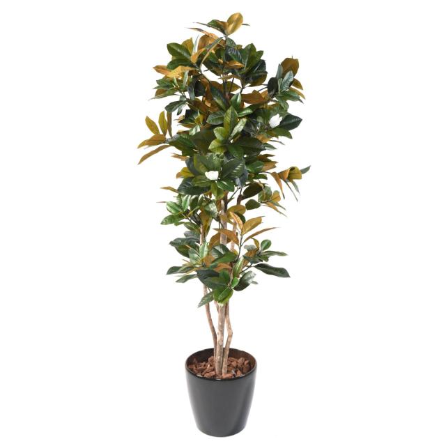 Magnolia Artificiel