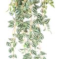 Tradescantia Artificiel 110