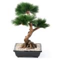 Bonsaï artificiel PIN EN COUPE