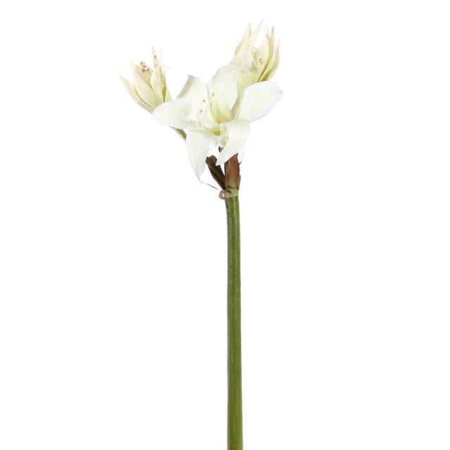 Amaryllis Artificielle Sauvage