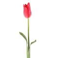 Tulipe artificielle