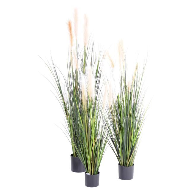 Carex Artificiel GF