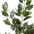 Ficus artificiel Exotica Spray *101