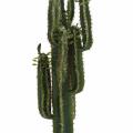 Cactus artificiel Finger