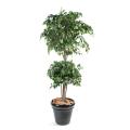 Ficus artificiel double boule