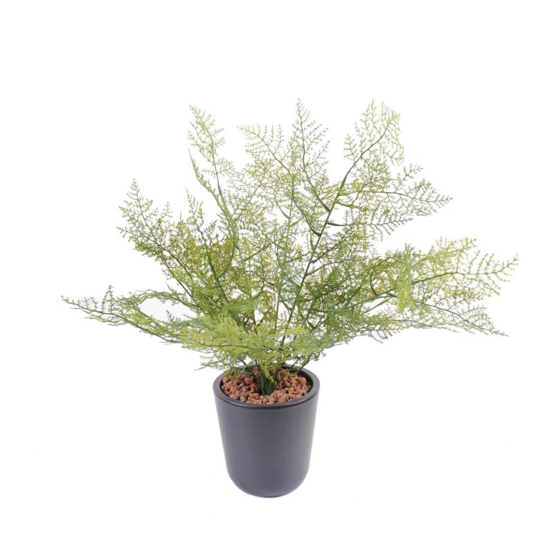 Asparagus artificiel Plast
