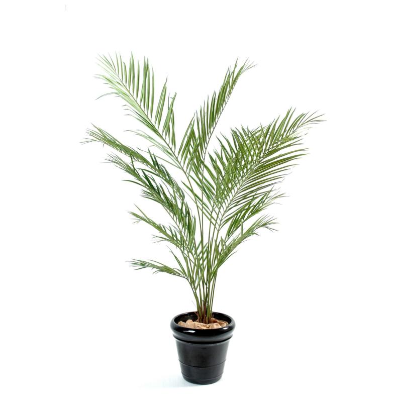 Kentia artificiel New Palm